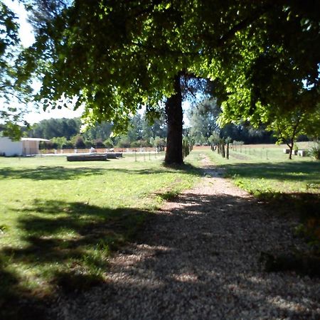 فيلا Domaine De Rochegude أفينيون المظهر الخارجي الصورة