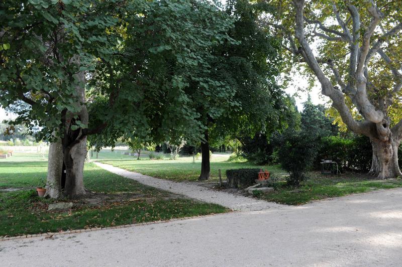 فيلا Domaine De Rochegude أفينيون المظهر الخارجي الصورة